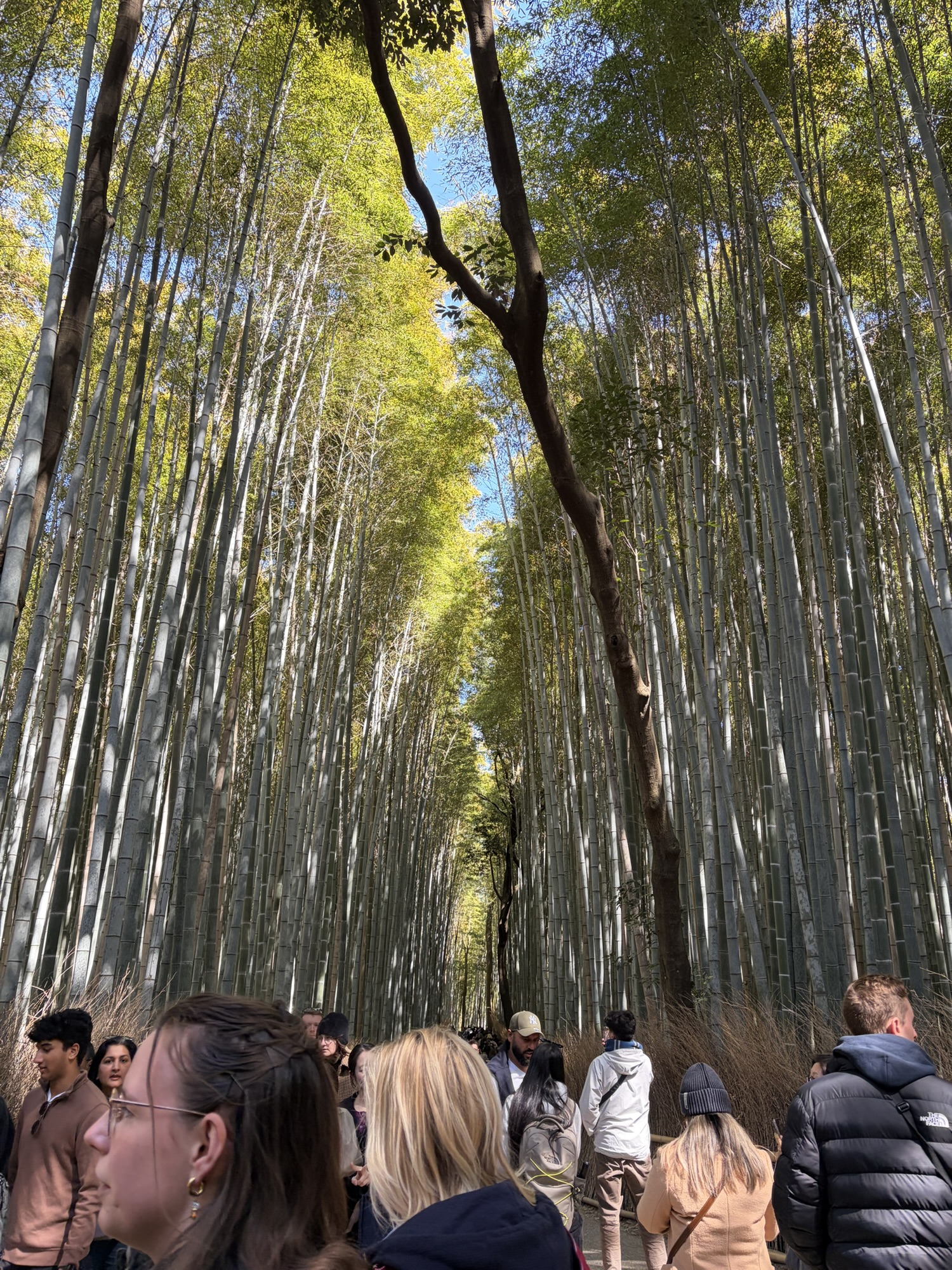 京都旅行　2日目 ①