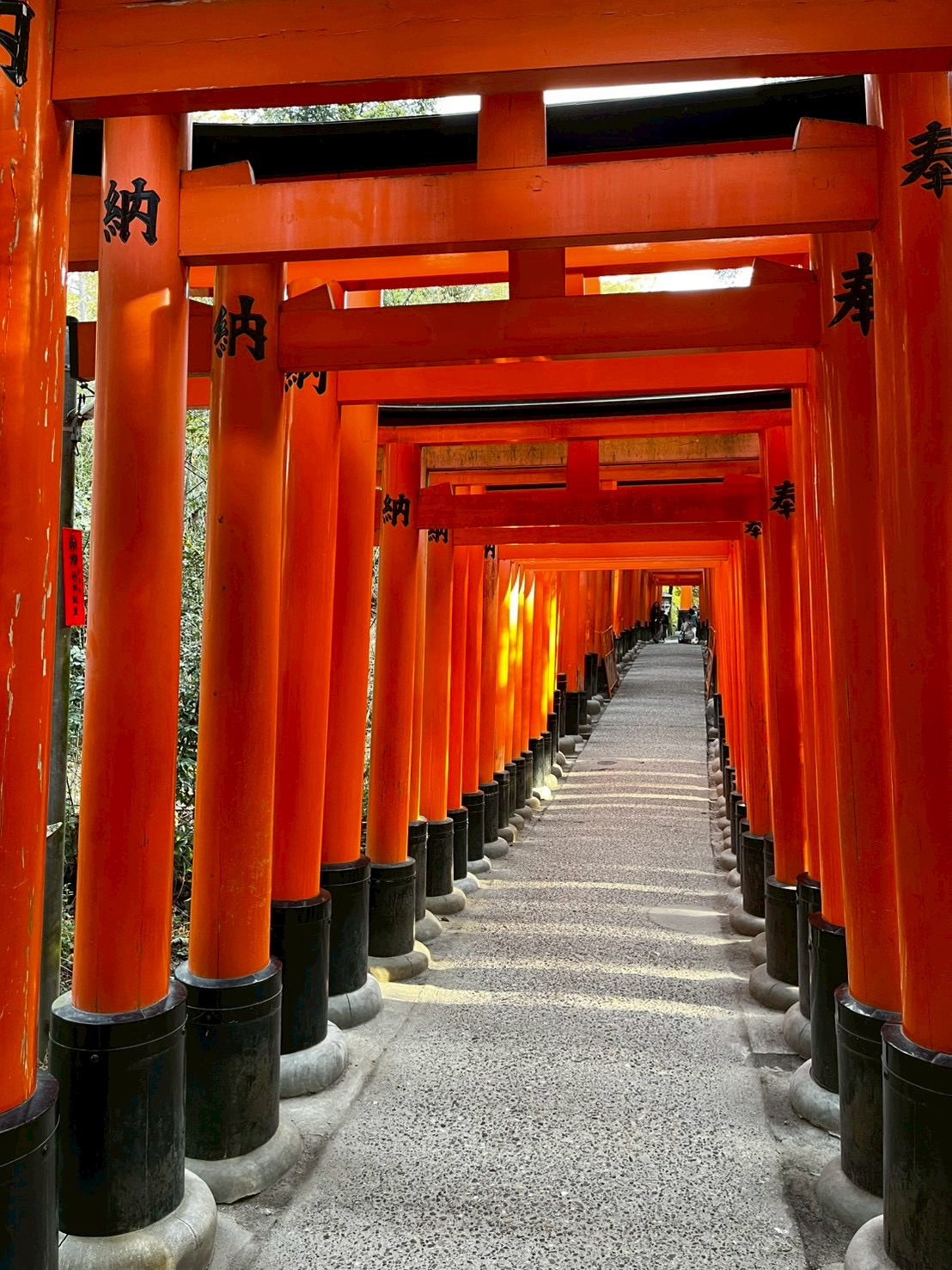 京都旅行　3日目～最終日